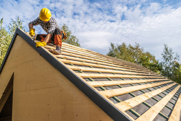 Best Local Roofing Companies  in Evans City, PA