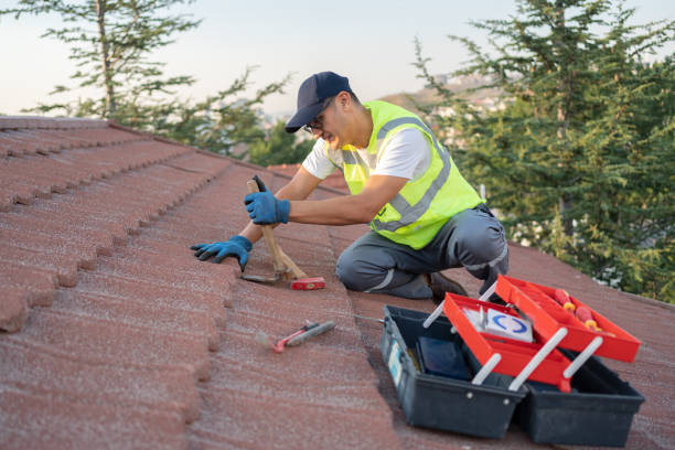 Best Affordable Roofing Company  in Evans City, PA
